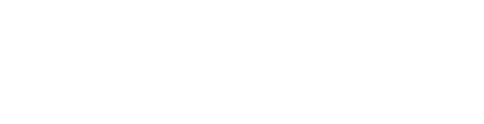 Weston College Somax logo